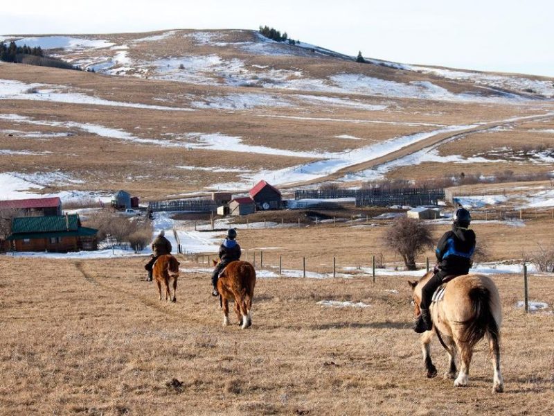 Horse Adventure in the spring at Historic Reesor Ranch.