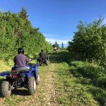 ATV Guided Tour on diverse terrain at Historic Reesor Ranch.