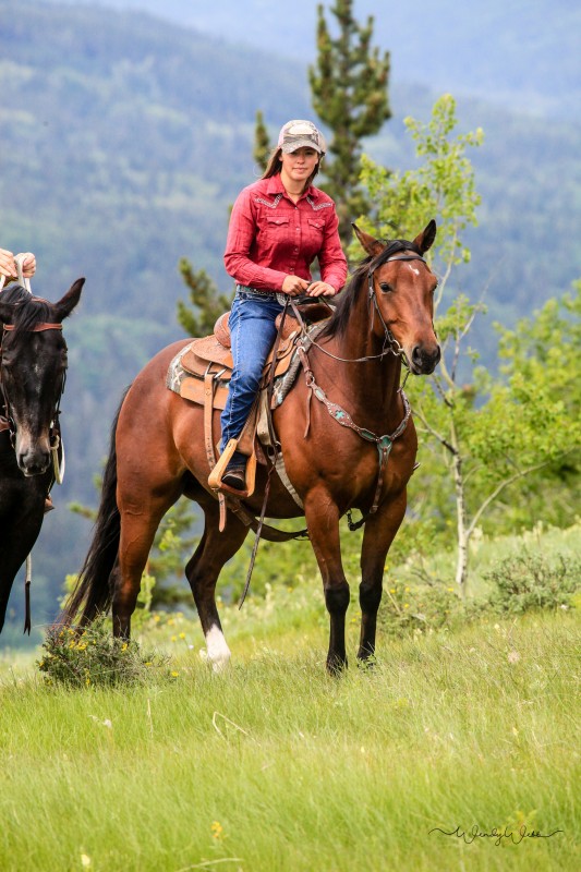 Julia Fairbrother, Wrangler