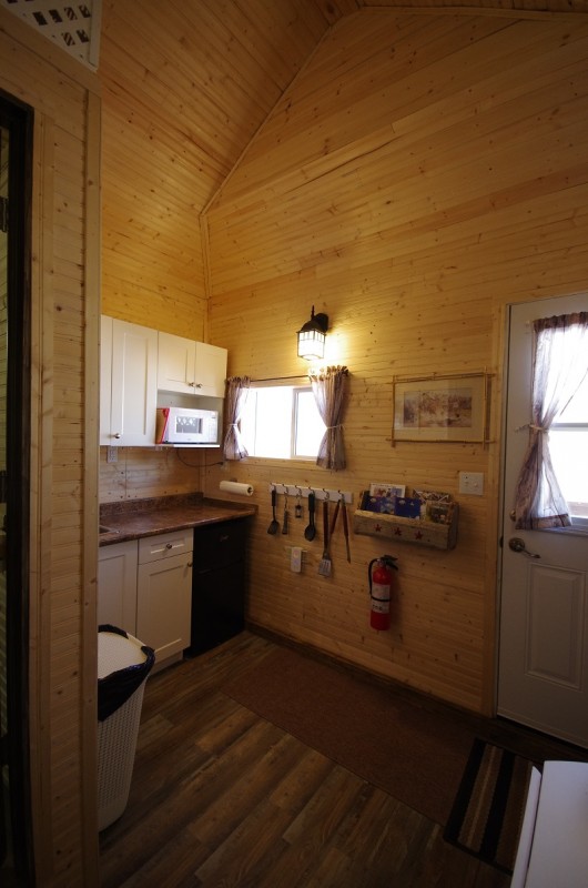 Frontier Cabin kitchenette and front door