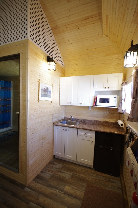 Frontier Cabin kitchenette