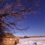 Frontier Cabin north view