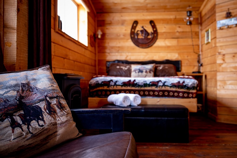 Perfectly cozy bedroom and living room!