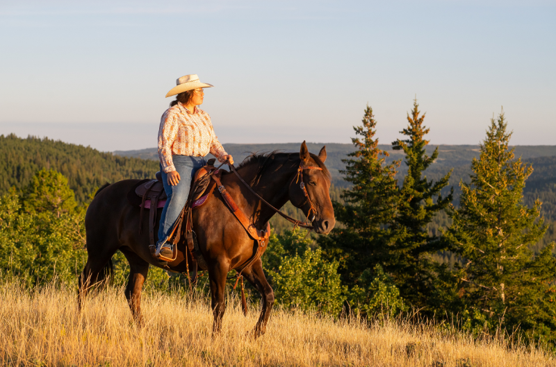 Cypress Hills from the Reesor Ranch Trail Ride